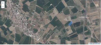 Manisa - Akhisar  Akselendi de Satılık Bağ